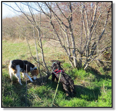 Emma und Lotte