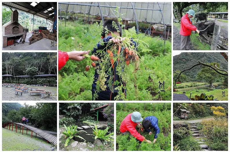 宜蘭頭城農場｜原野樂園-焢窯區-窯烤披薩區-蔬菜園-牛舍~田野體驗