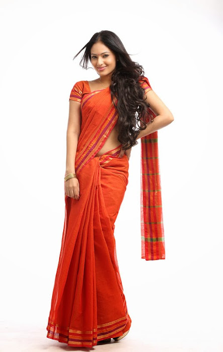 nikesha patel in saree