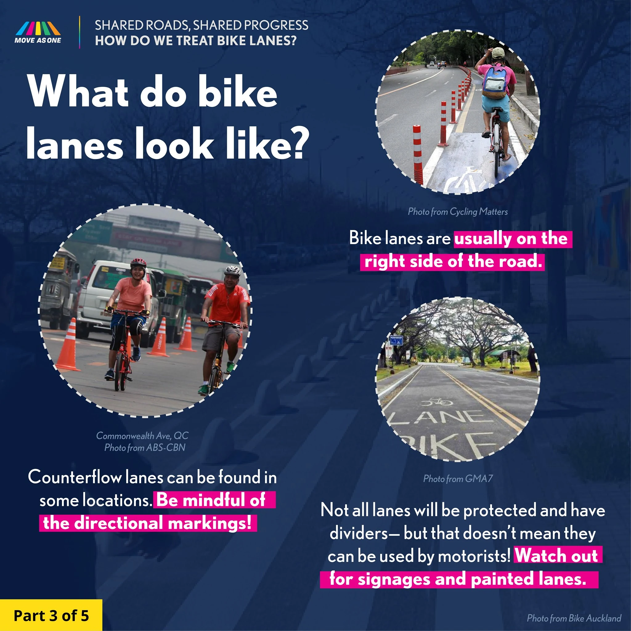 what do bike lanes look like poster