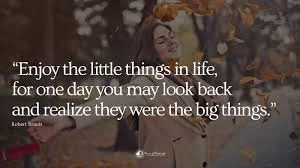 Powerful Quotes About Enjoy In Life
