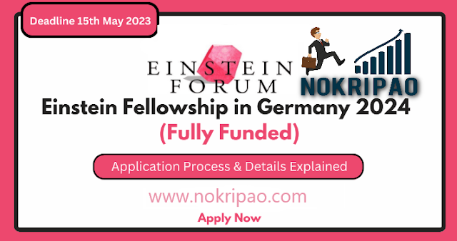 Fully Funded Einstein Fellowship in Germany for 2024
