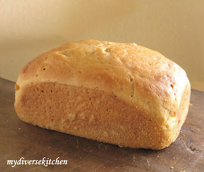 Bread and rolls recipes