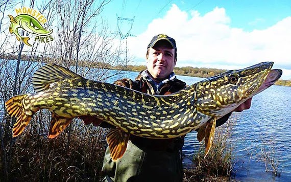 Amur Pike Fish Images