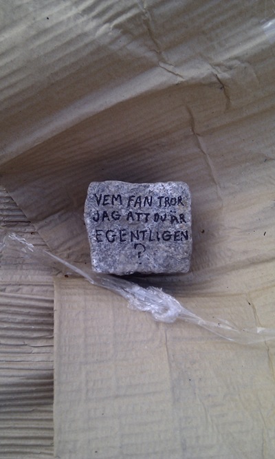 IMAG0230