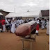 SAD! Slay Queen Buried In A Manhood Shaped Coffin In Ghana