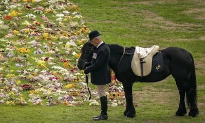 Queen's horse Emma