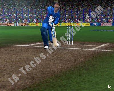 Remove Helmet of Batsmen in EA Cricket 07 - Ingame Screenshot 4