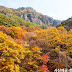 釜山團｜周王山賞楓一日遊 Busan Tour｜Spectacular Juwang Mountain