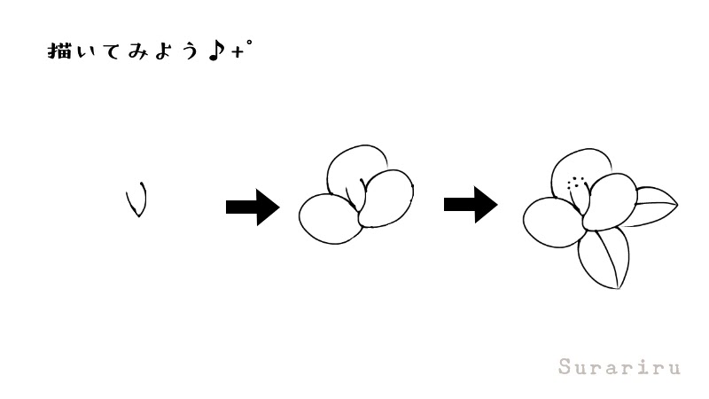 簡単な椿の花のイラストの描き方 遠北ほのかのイラストサイト