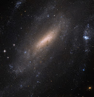 Spiral Galaxy IC 5201