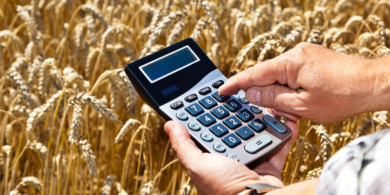 By definition, a farm plan is a program of the total farm activity of a farmer drawn up in advance. Farm plan serves as the basis of farm budgeting.
