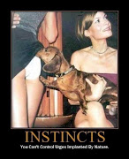 Label: animal funpic cool funny pictures funpic pro pic (be )