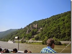Rhine River Cruise 7