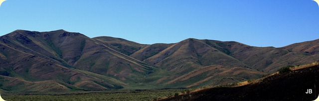 IMG_3764 IMG_3764
