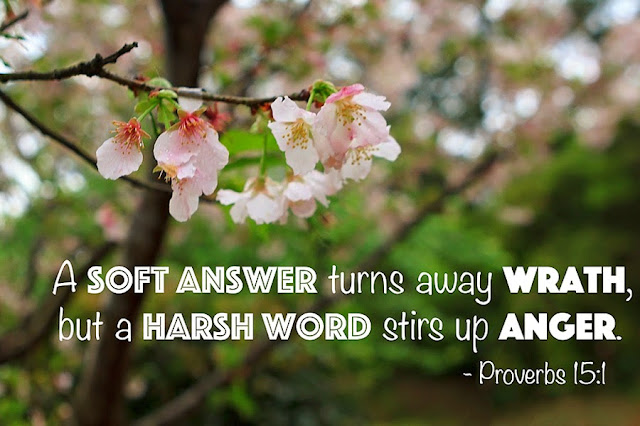 A soft answer turns away wrath, but a harsh word stirs up anger.