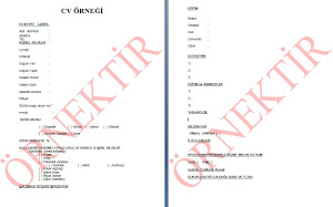 CV ÖRNEĞİ