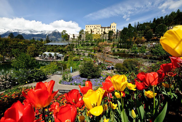 Castel Trauttmansdorf é circondato dai Giardini di Sissi, un meraviglioso universo botanico