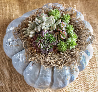 mist the moss on a pumpkin centerpiece