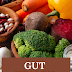 Gut Health Diet: How to Lose the Gut - 3 Steps to Lose That Gut Fast!