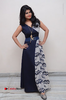 Telugu Actress Alekhya Stills in Blue Long Dress at Plus One ( 1) Audio Launch  0150.jpg