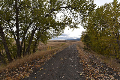 The Great Trail Princeton fields British Columbia.