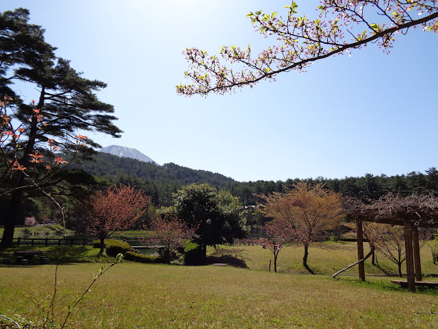 ロイヤルシティ大山リゾートの大成池