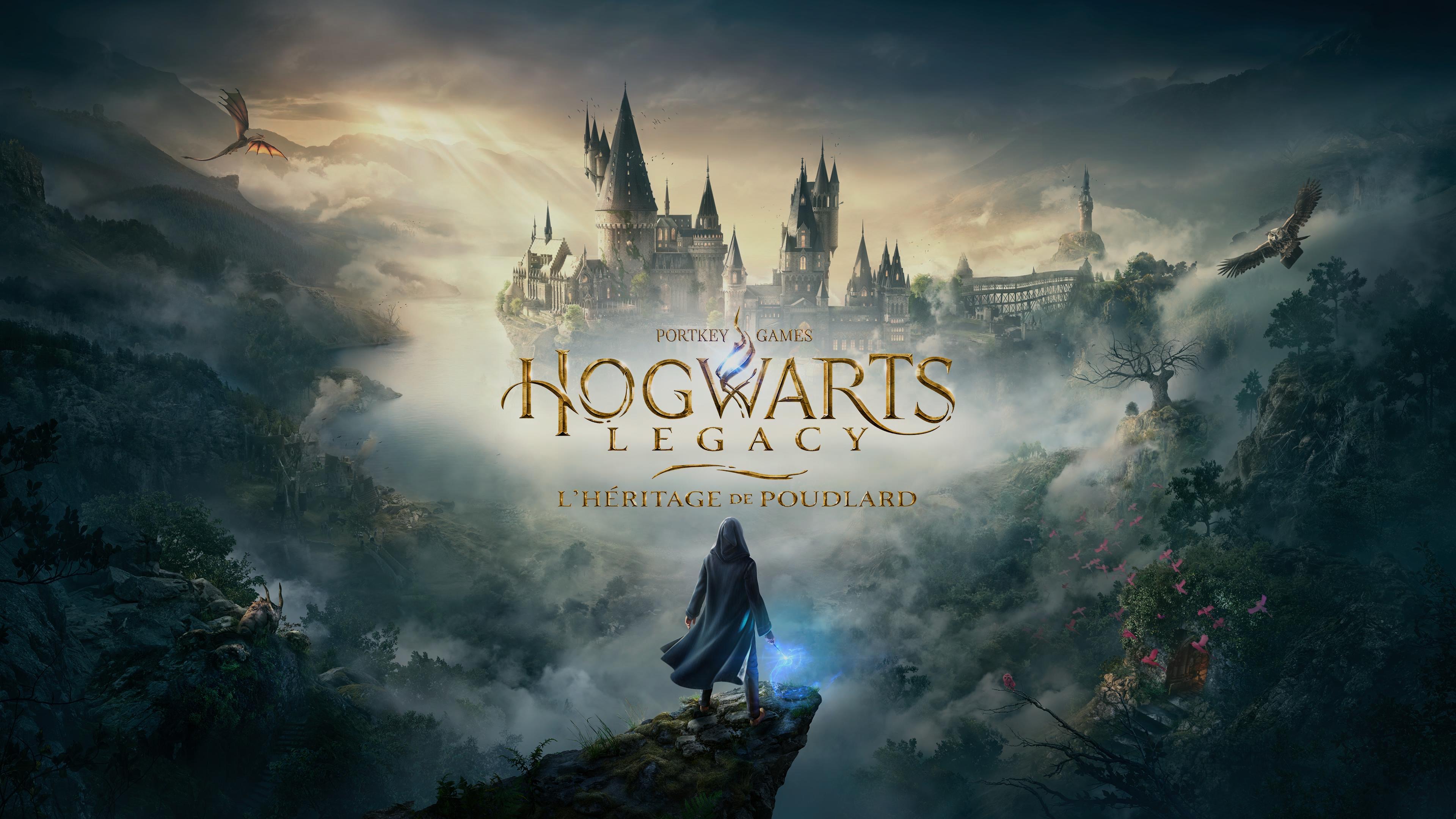 Hogwarts Legacy » : le jeu vidéo de la saga Harry Potter bien accueilli,  mais « pas