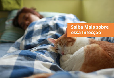 Mitos e Verdades sobre a Toxoplasmose