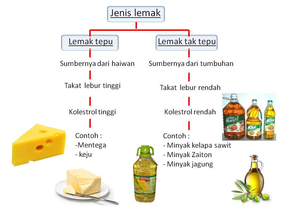 Nota fizik, Nota Sains Tingkatan 4, Nota Sains Tingkatan 5 