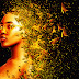 Golden Dispersion Effect