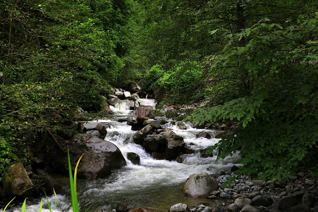 Doğu Karadeniz, Yayla, Gito Yaylası, Pokut Yaylası, tar deresi, bulut şelalesi