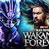 Black Panther 2 Actor Explains How DC’s Aquaman Differs from MCU's Namor