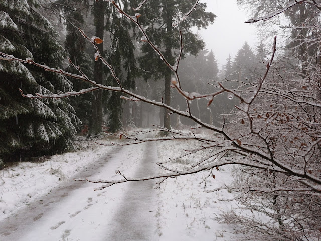 Sauerland wandern Wetter blog Schmallenberg Hunau Höhenflug