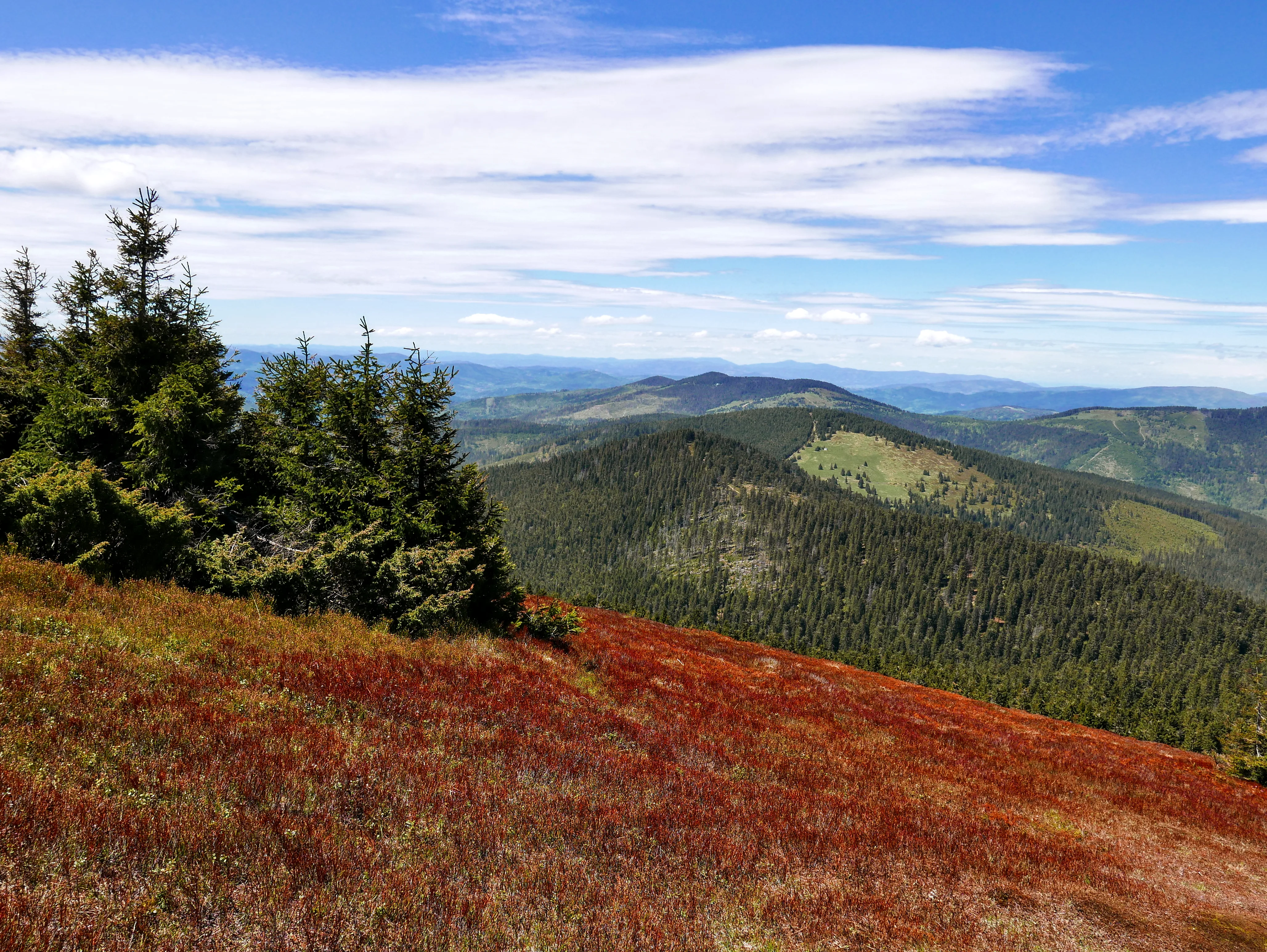 Beskid Żywiecki: szlaki turystyczne dla początkujących