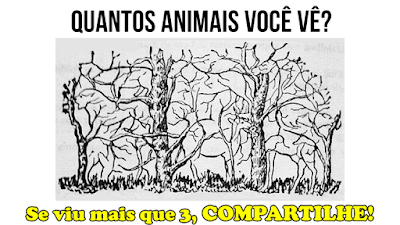 Teste de visão: Quantos animais você vê?