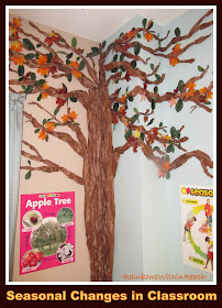 photo of: Tree Changes with the Seasons in the Classroom Setting (Tree RoundUP via RainbowsWithinReach) 