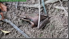 20150806_105627_010_HoMeiSan
