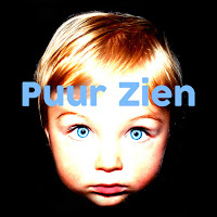 Logo Puur Zien life coach praktijk en stichting Breda - mindfulness fotografie workshops