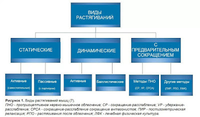 виды растягиваний