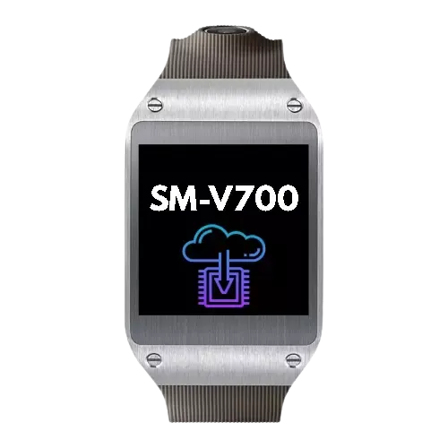 Full Firmware For Device Samsung Galaxy Gear SM-V700