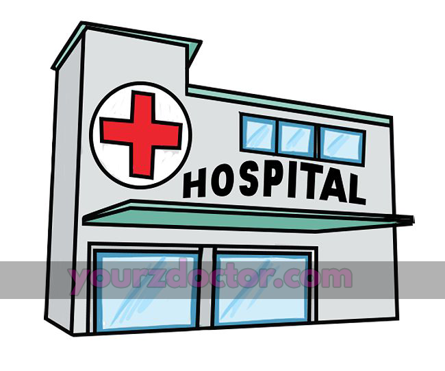 Hospital and its organization