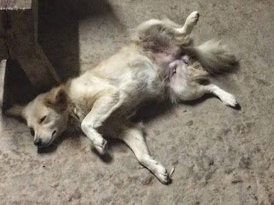 工房の様子