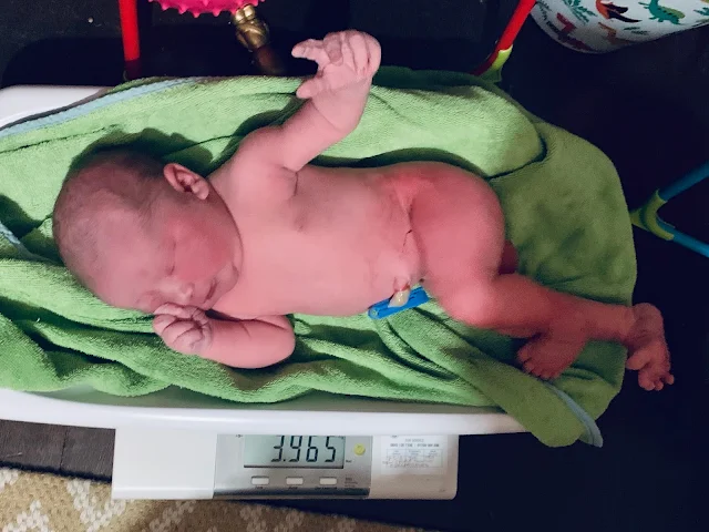 A newborn baby boy on a green towel on weighing scales. He weighs 3.965kg