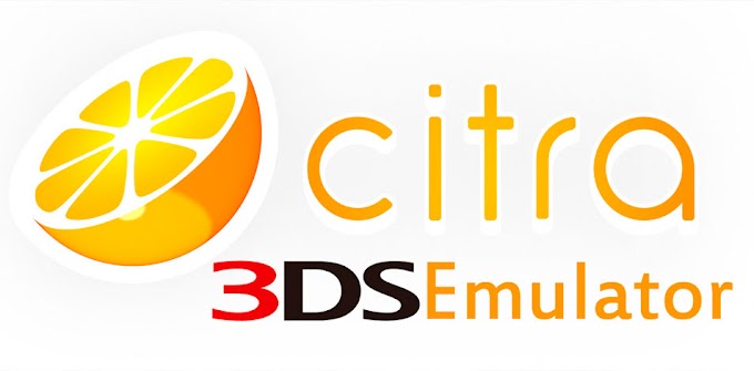 Nintendo 3DS Emulator Untuk PC, Citra