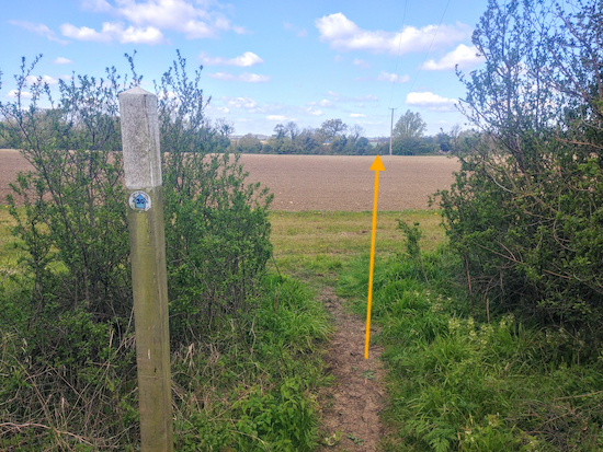 Head to the left of the telegraph pole