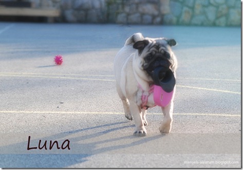 Luna_3