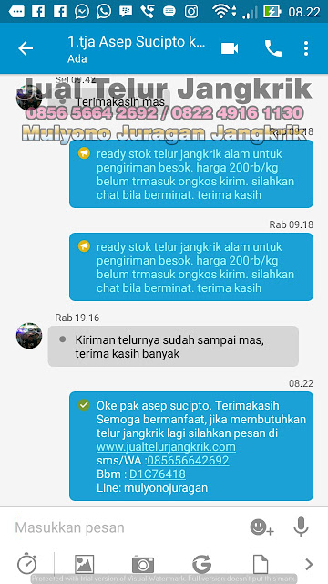 JUAL TELUR JANGKRIK testimoni PART3 dari pelanggan