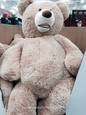 Everything in Costco is large size...even teddy bears!