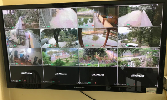 2. Cách xem camera trên tivi TCL với dòng camera Dahua